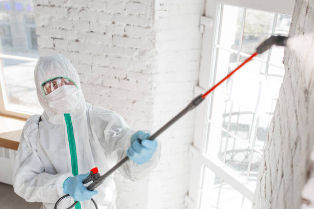 Best Crawl Space Mold Remediation  in Chipley, FL