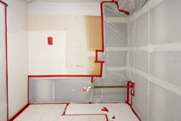 Dehumidification Services in Chipley, FL