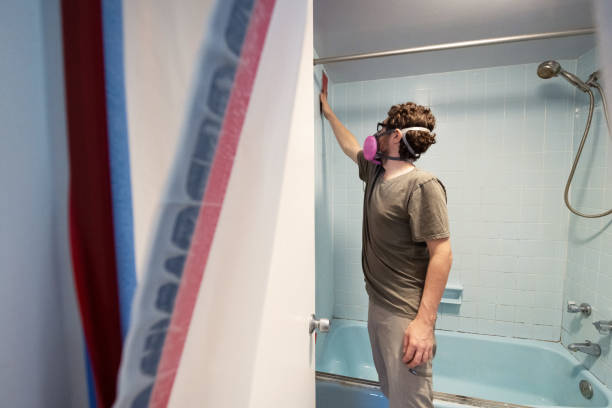 Best Commercial Mold Inspection  in Chipley, FL