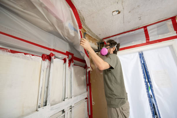 Best Emergency Mold Remediation  in Chipley, FL
