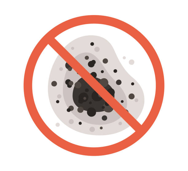 Best Mold Remediation for Healthcare Facilities  in Chipley, FL