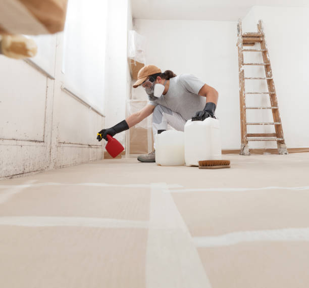Best Dehumidification Services  in Chipley, FL