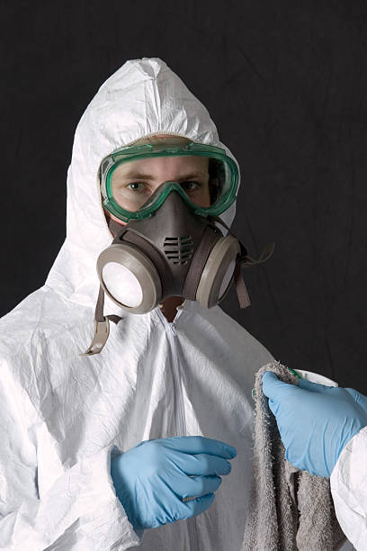 Best Mold Removal for HVAC Installations  in Chipley, FL